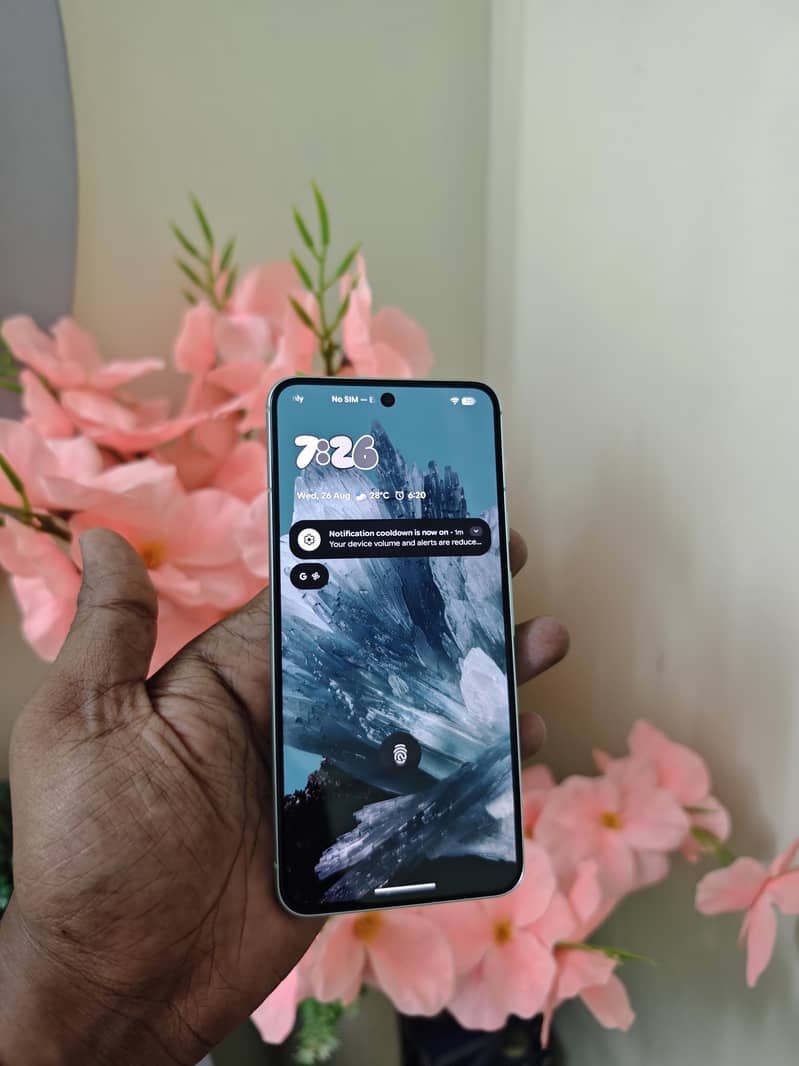Google Pixel 8 approved 2