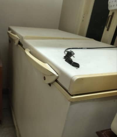 duple door deep freezer