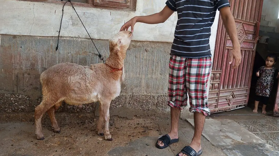 mundra Dumba khare ka — photo 7