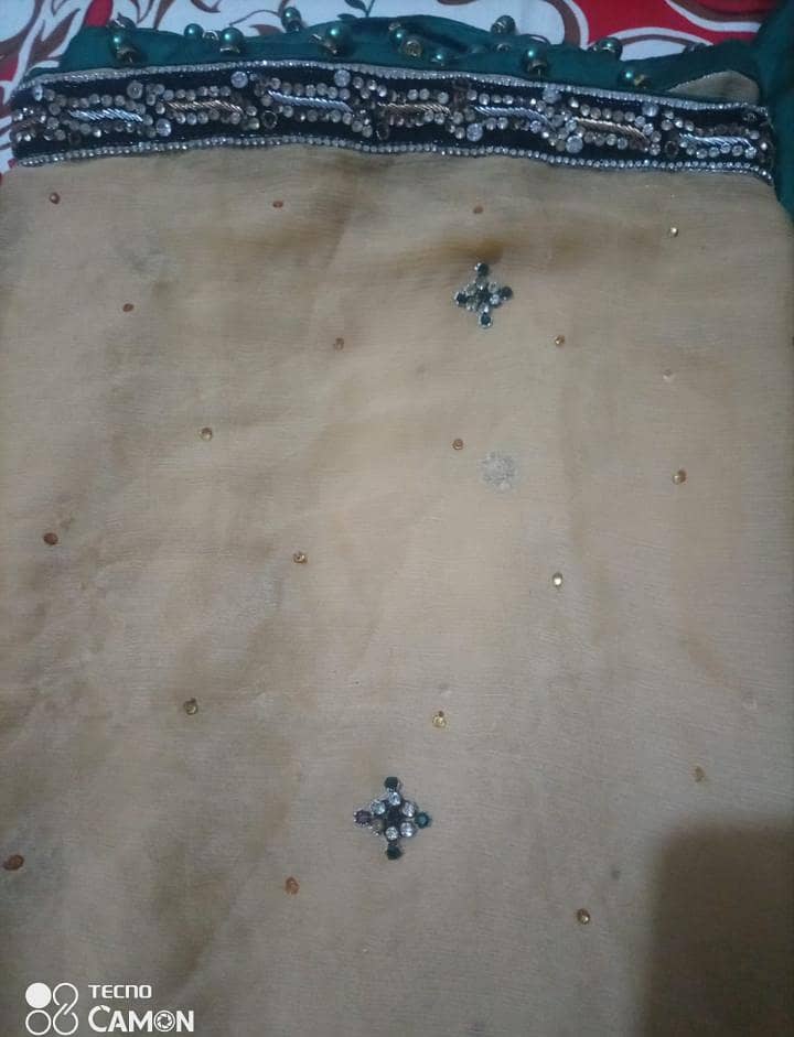braidel dres 1