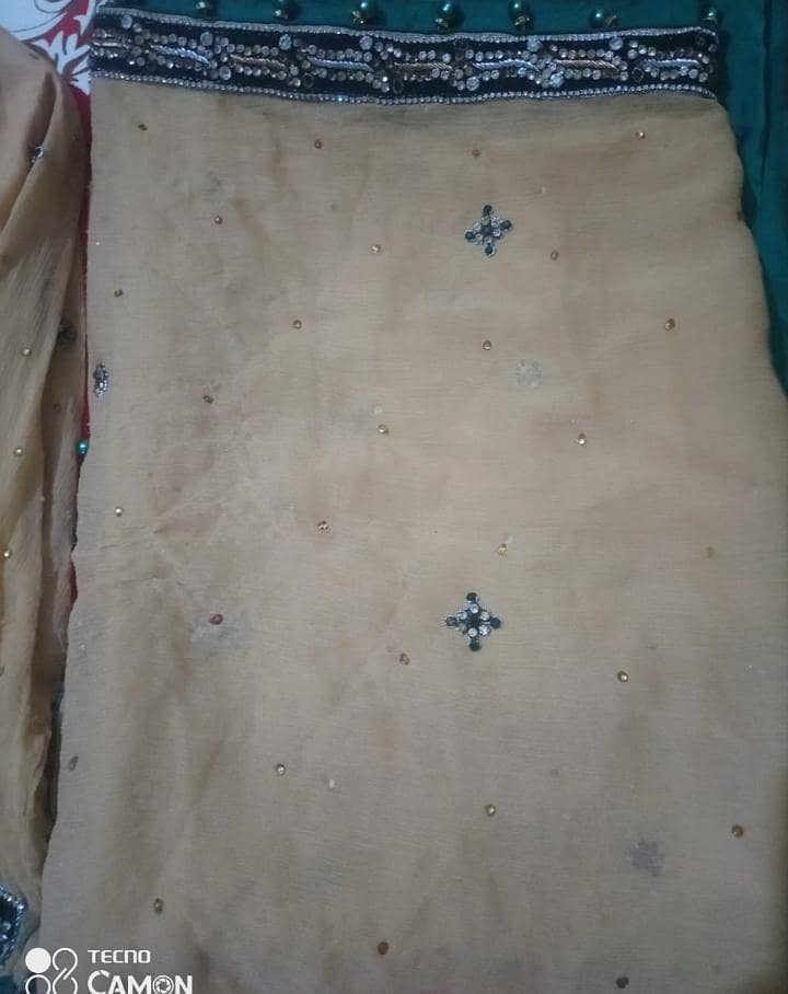 braidel dres 2