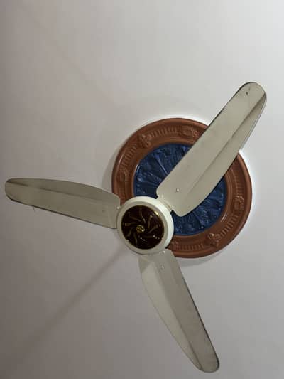 GFC Supreme Model Fan