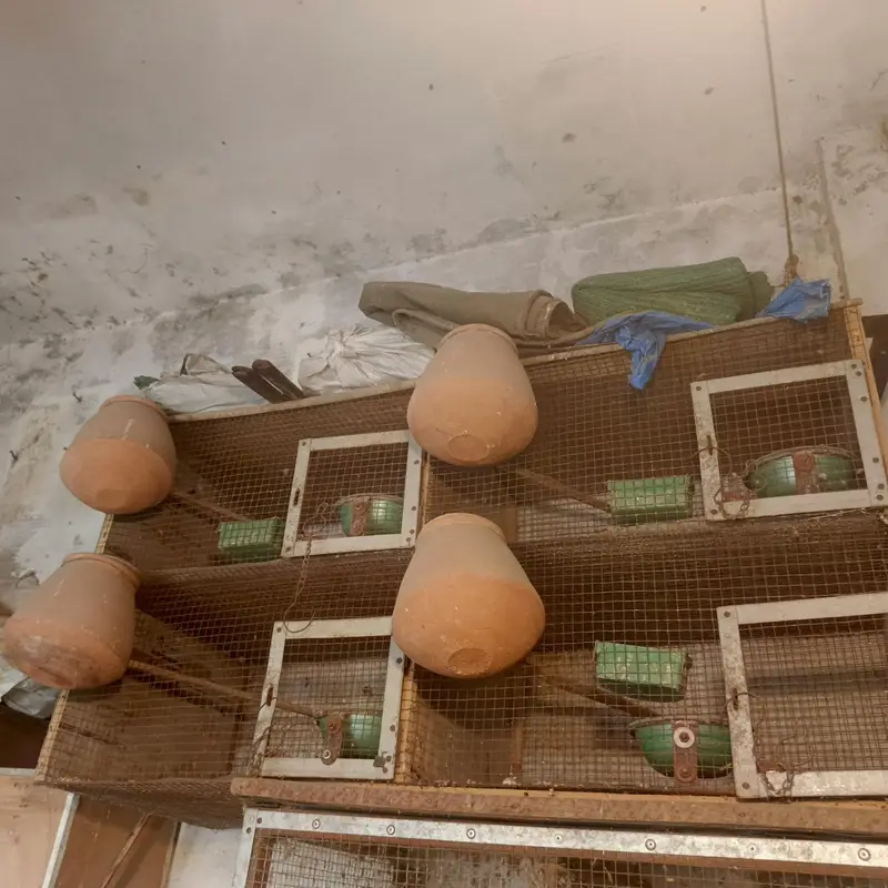 parrot cage — photo 2