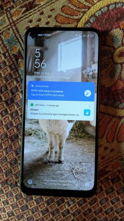 OPPO A54