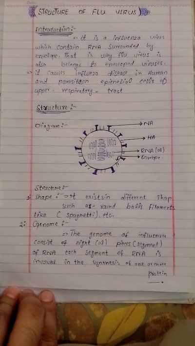 Professional Assignment Writing - Handwritten & Typed - Peshawar