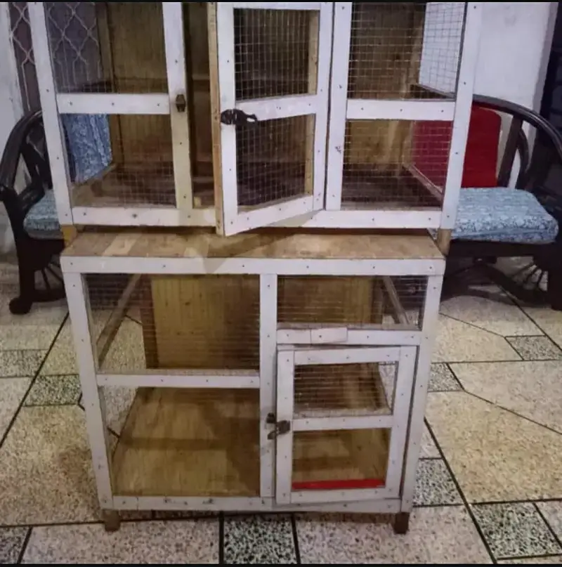 BEST FOR HENS AND CHICKS CONTACT ME 03180039211 — photo 3