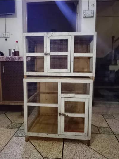 BEST FOR HENS AND CHICKS CONTACT ME 03180039211