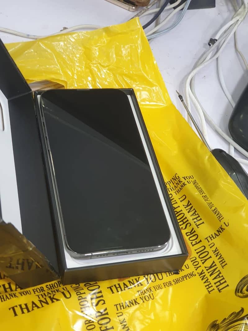 Apple iPhone 13 Pro Max 1