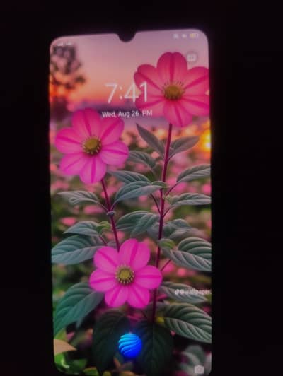 Vivo S1