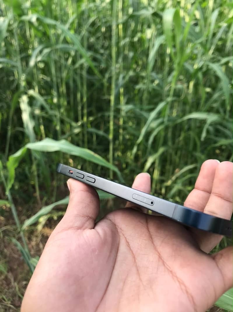 Apple iPhone 13 5