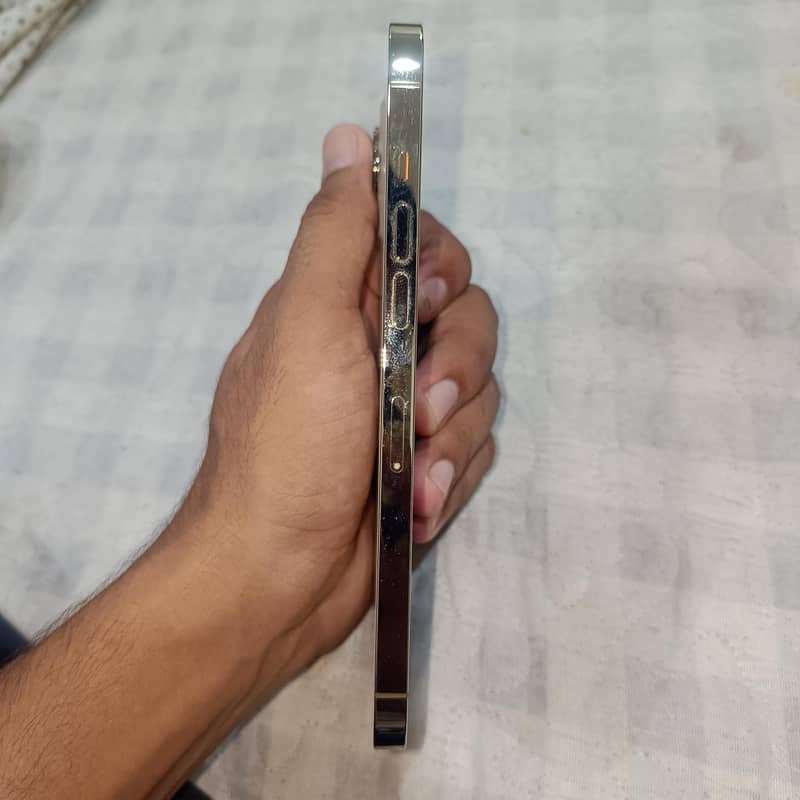 Apple iPhone 12 Pro Max 1
