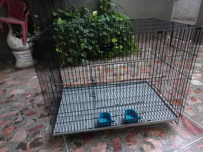 Cage pinjra
