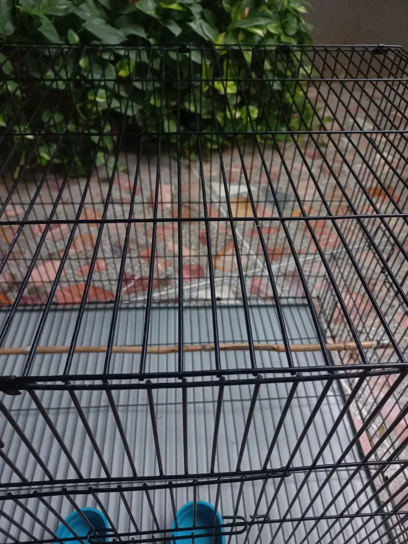 Cage pinjra — photo 4