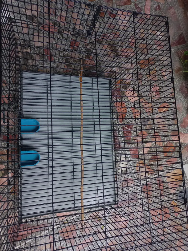 Cage pinjra — photo 5