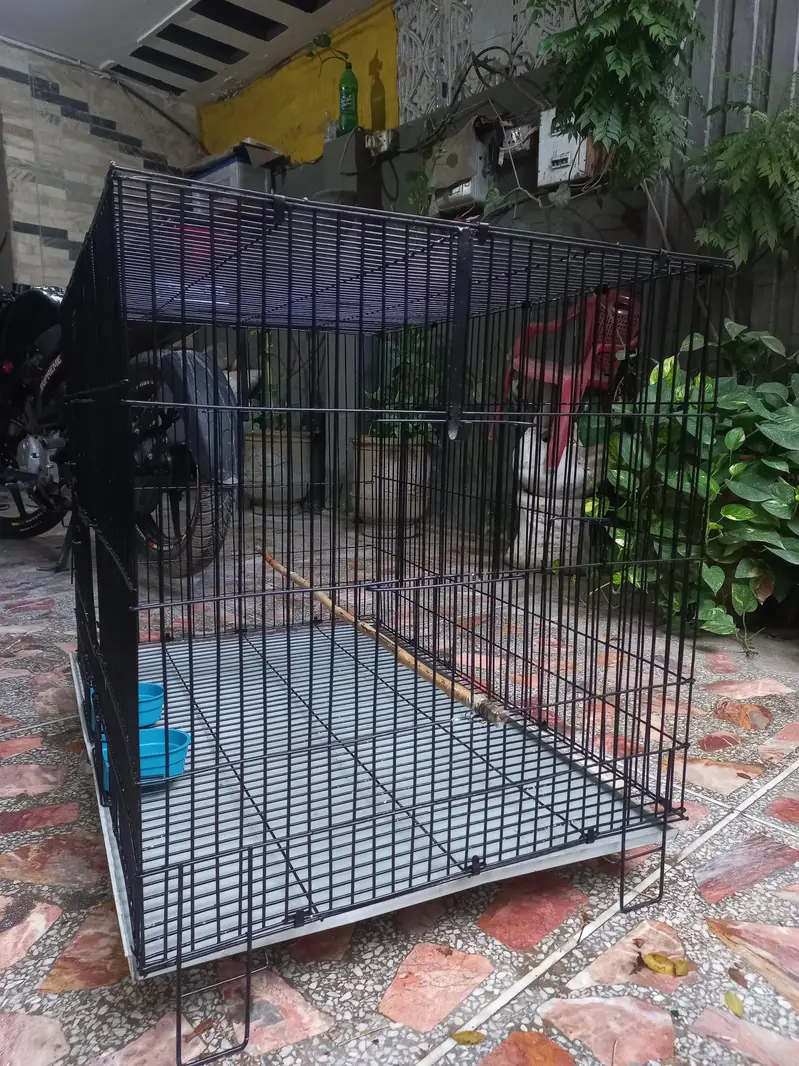 Cage pinjra — photo 6