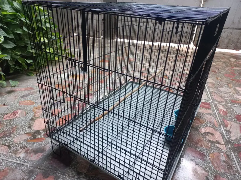 Cage pinjra — photo 8