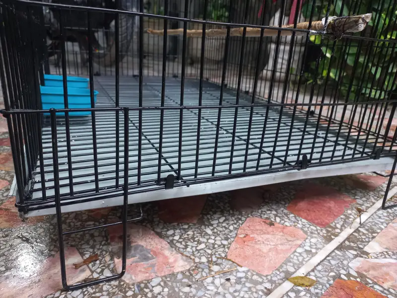 Cage pinjra — photo 9