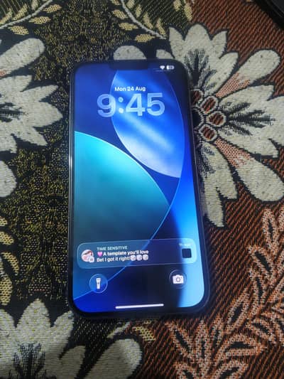 iPhone 13 Pro Max