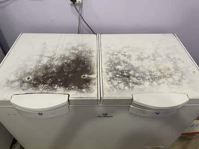 Deep Freezer for Sale – Good Condition