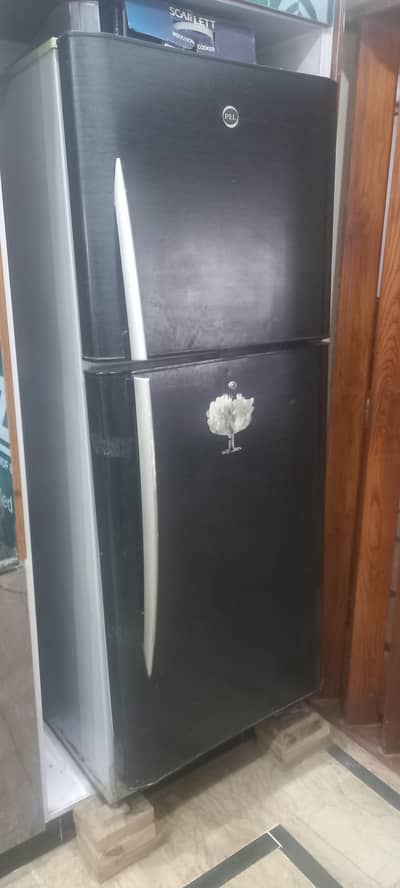 pel refrigerator for sale