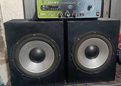 10" Panasonic Woofer Pair Original with Amplifier