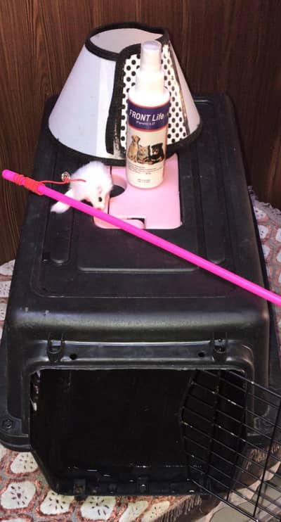 cat cage coler with toy stick insect spray cats