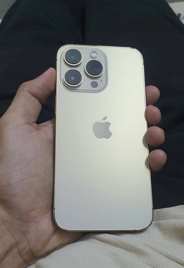 iPhone 13 Pro 0