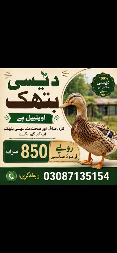 Desi Ducks Also Available