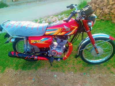shape 2026  Punjab Rajestered  what's app  03149969197