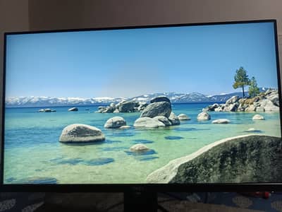 Dell P2419H 24" IPS FHD Monitor — Rs. 15,000