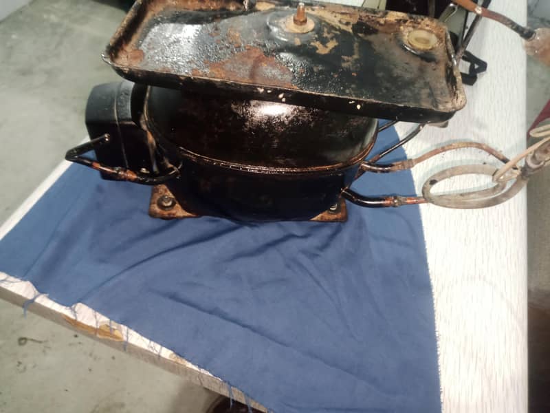 Pal freezer compressor 3