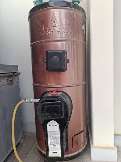 Gyser Gas and Electric Both