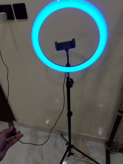 TikTok stand