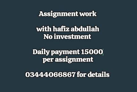 pro assignment work
