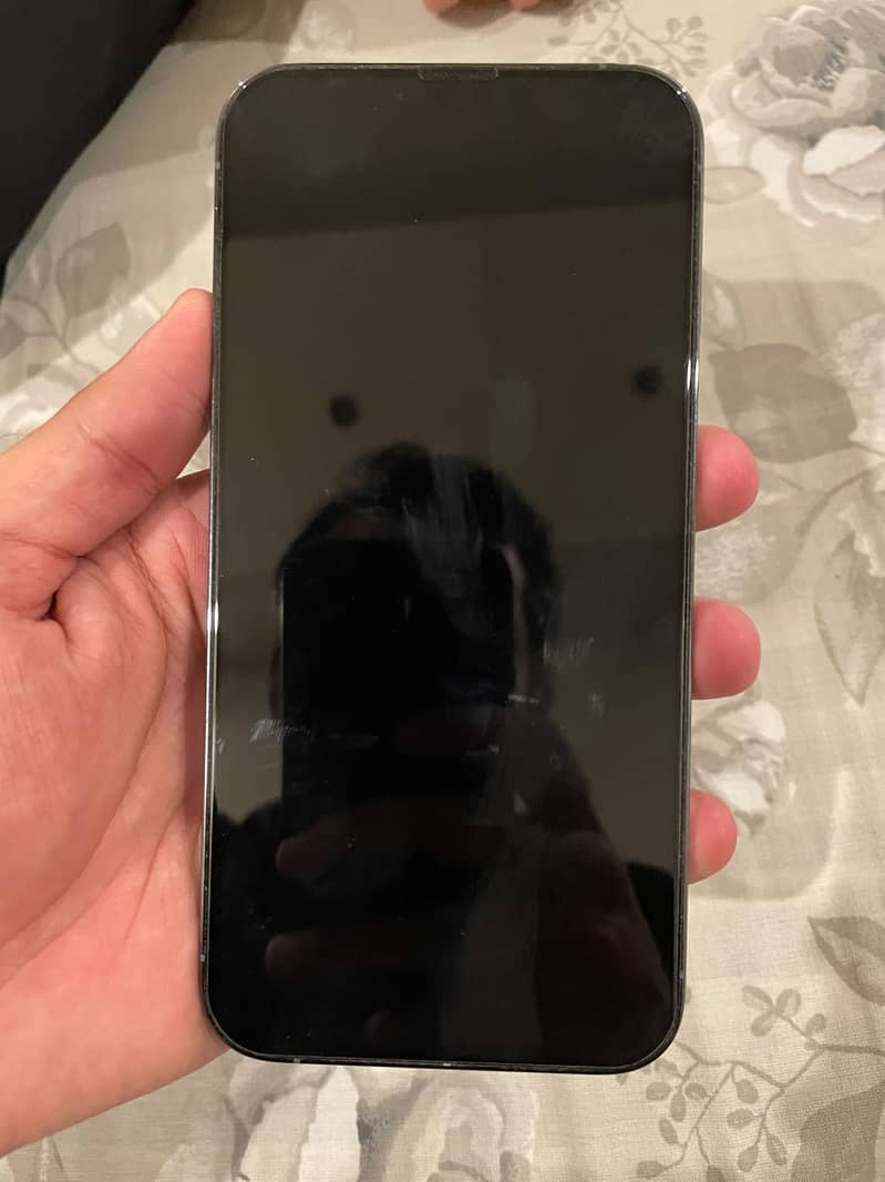 Apple iPhone 13 Pro Max 1