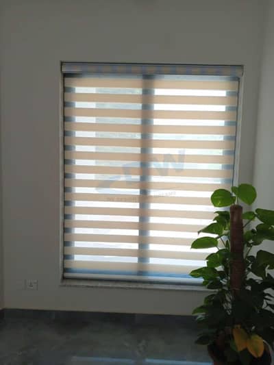 Window Blinds