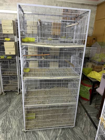 Parrots Cage