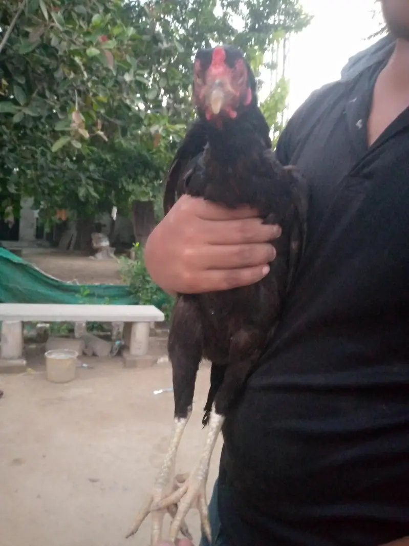 miya wali — photo 3