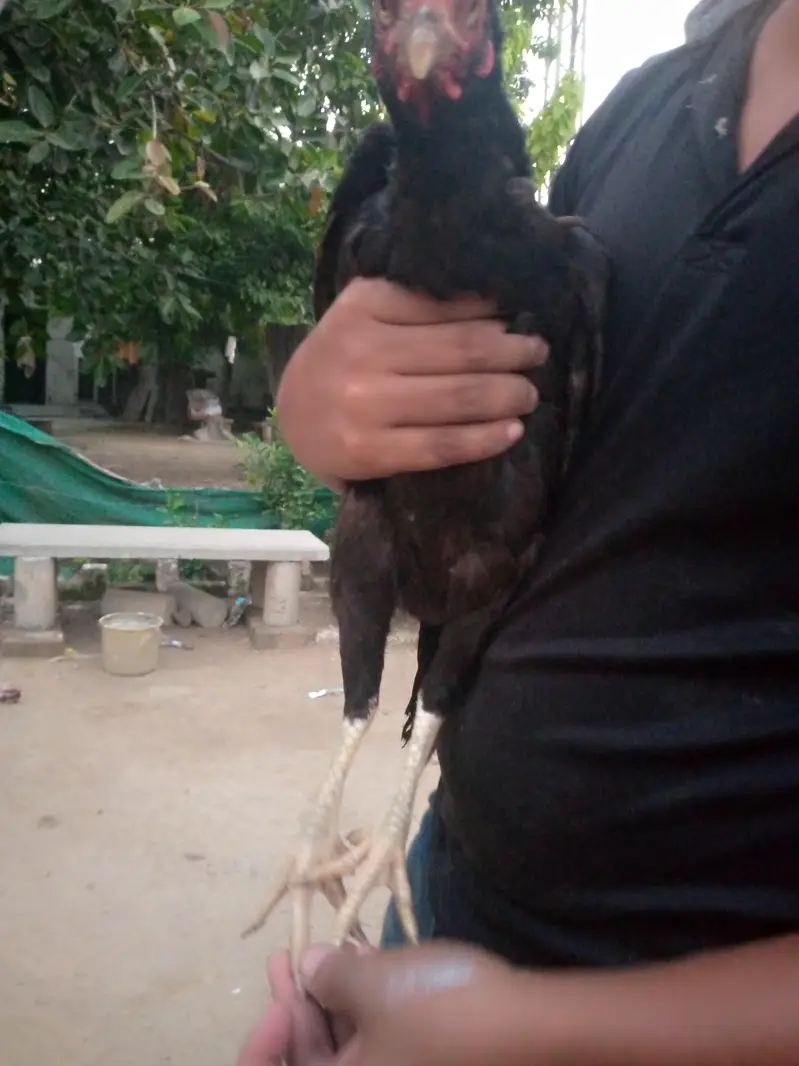 miya wali — photo 4