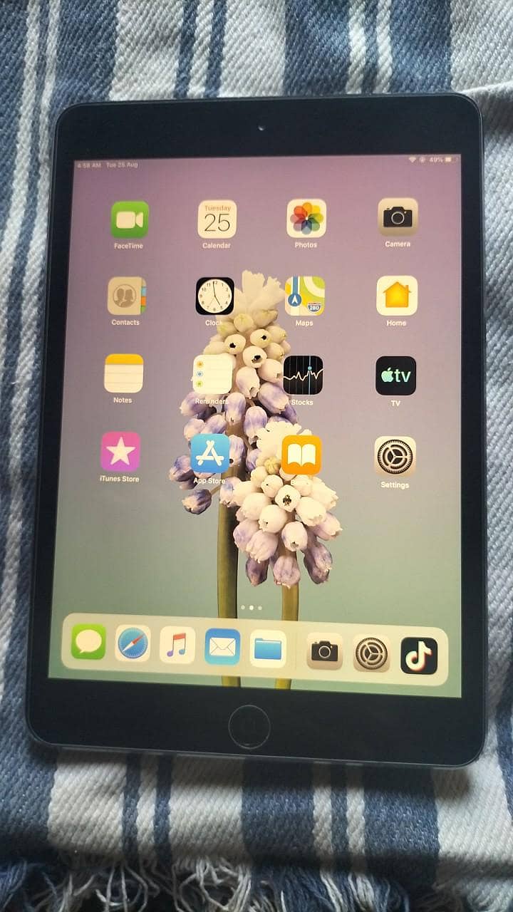Apple iPad 1