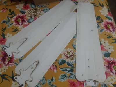 pak fan company