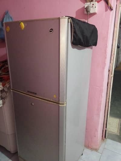 Pell Refrigerator for Sale