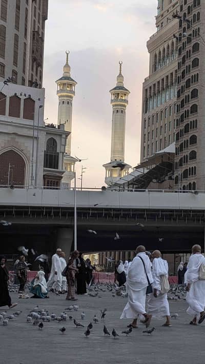 SHAIKH BHAI 
