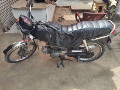 urgent sale bulbul ka bachaa