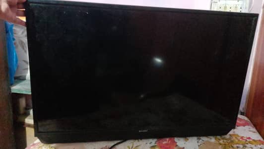 EcoStar LED TV (Display Issue - For Parts or Repair)