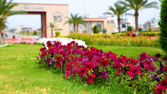 Sector E dha Peshawar 1 kanal plot file for sale possession in 1 year