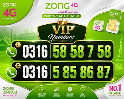 zong couting numbers