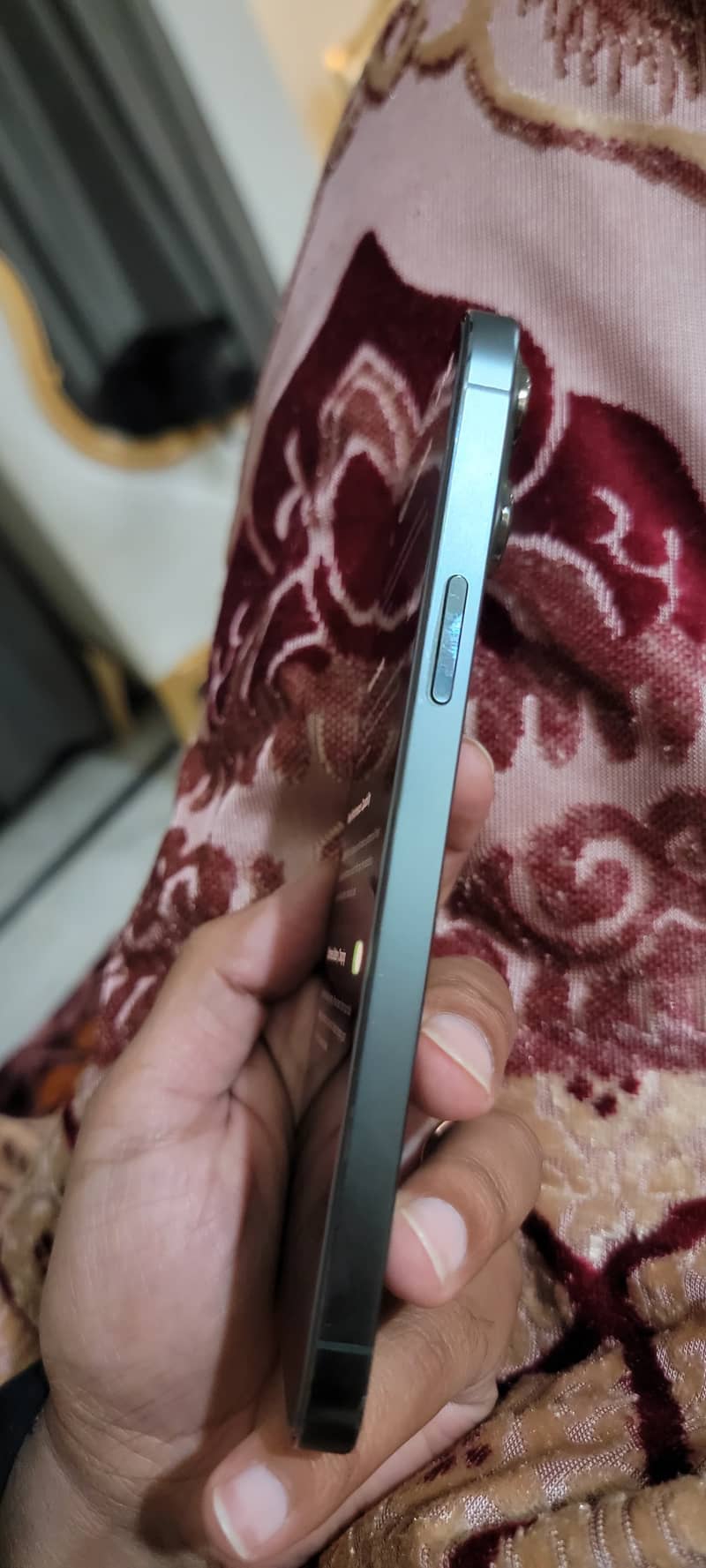 Apple iPhone 13 Pro Max 1