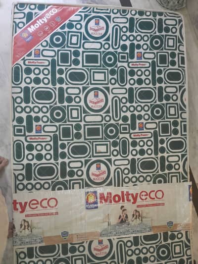 Master Molty Foam 2025  Medical ECO