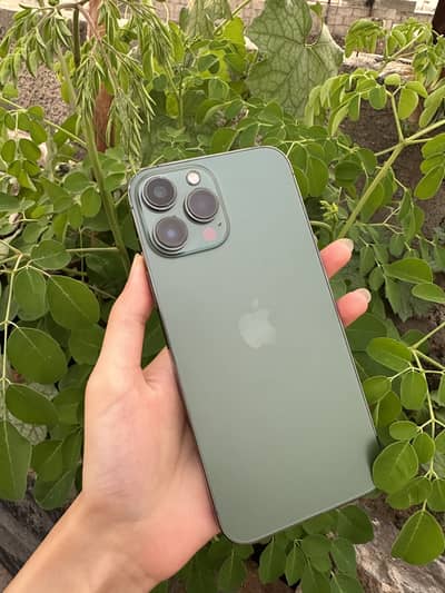 Apple iPhone 13 Pro Max